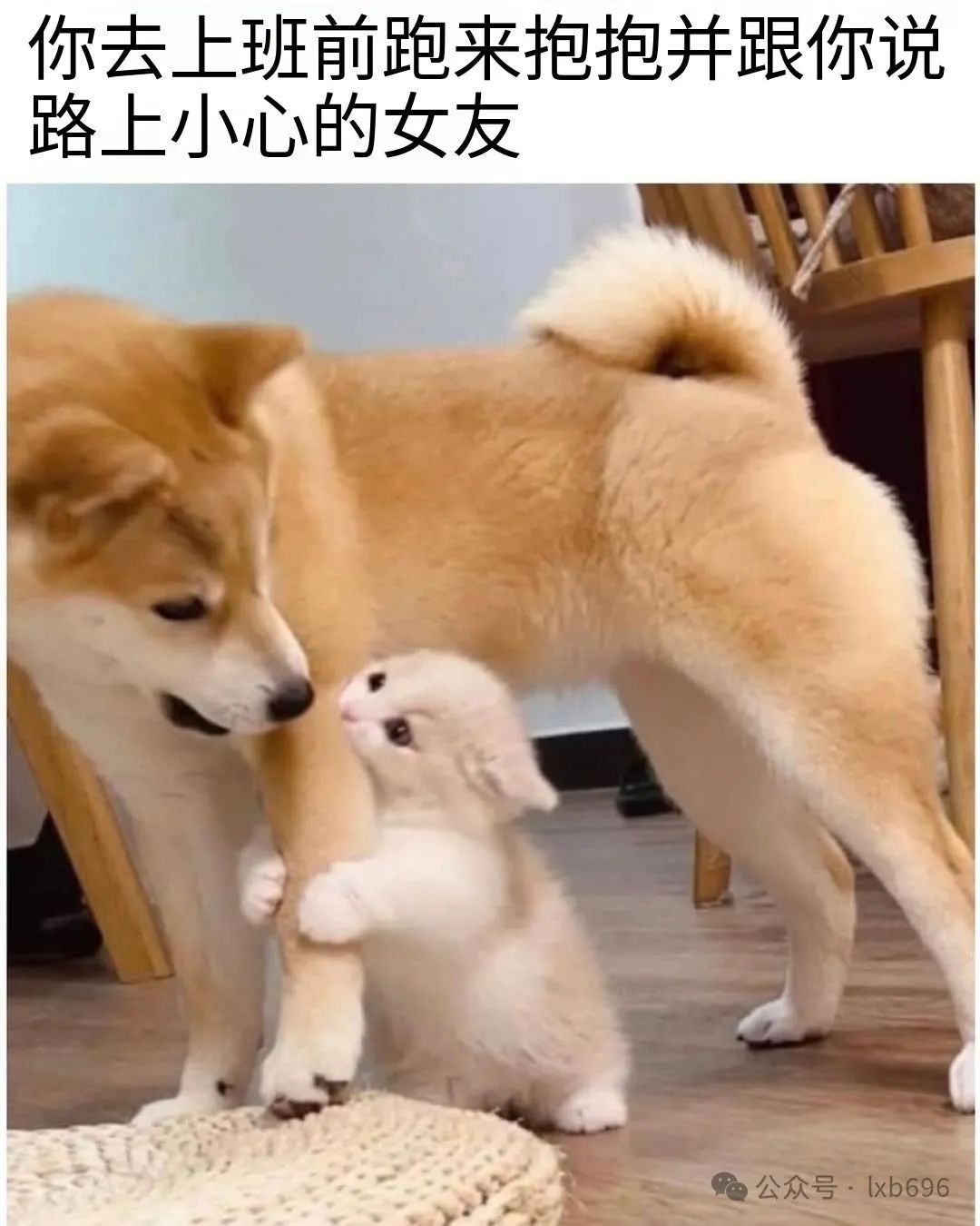 Word文档图片