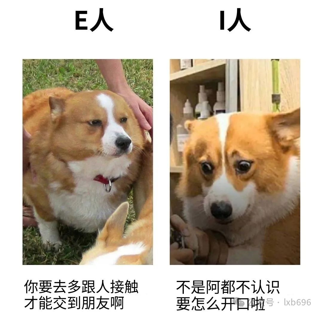 Word文档图片