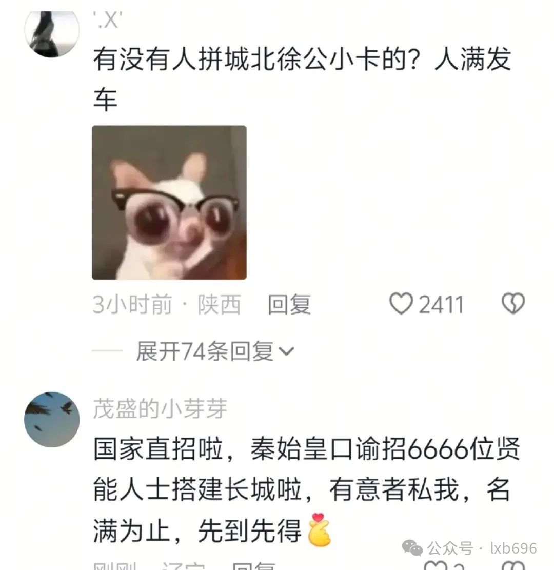 Word文档图片
