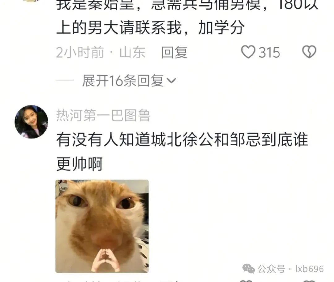 Word文档图片