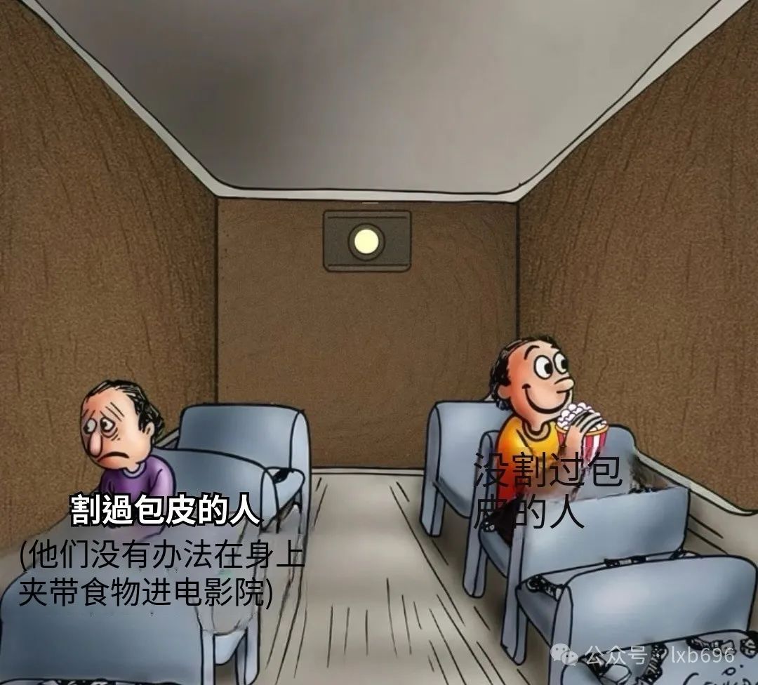 Word文档图片