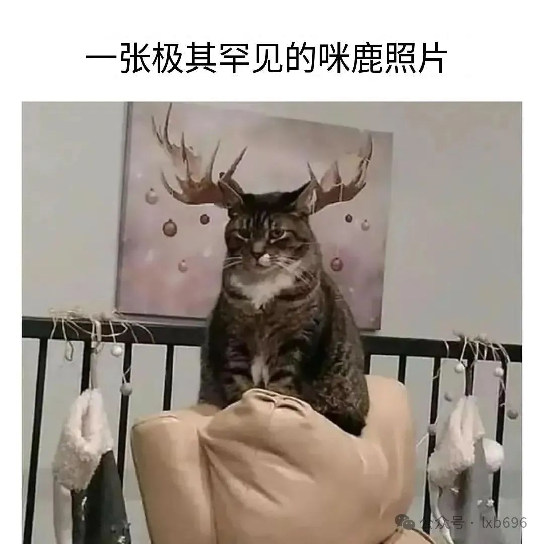 Word文档图片