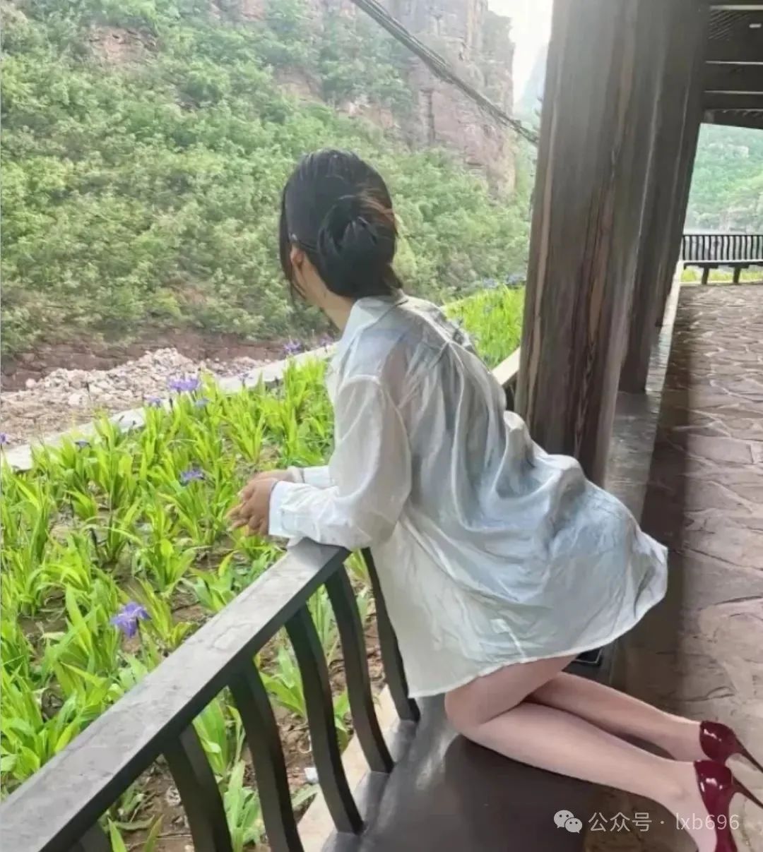 Word文档图片