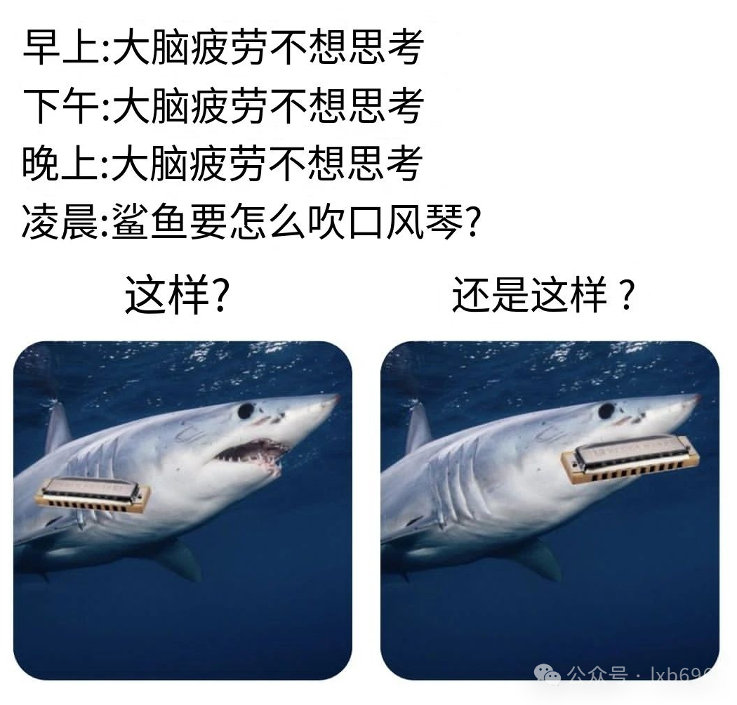 Word文档图片