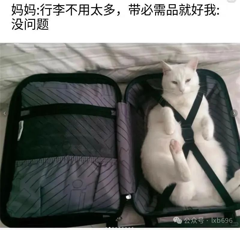 Word文档图片