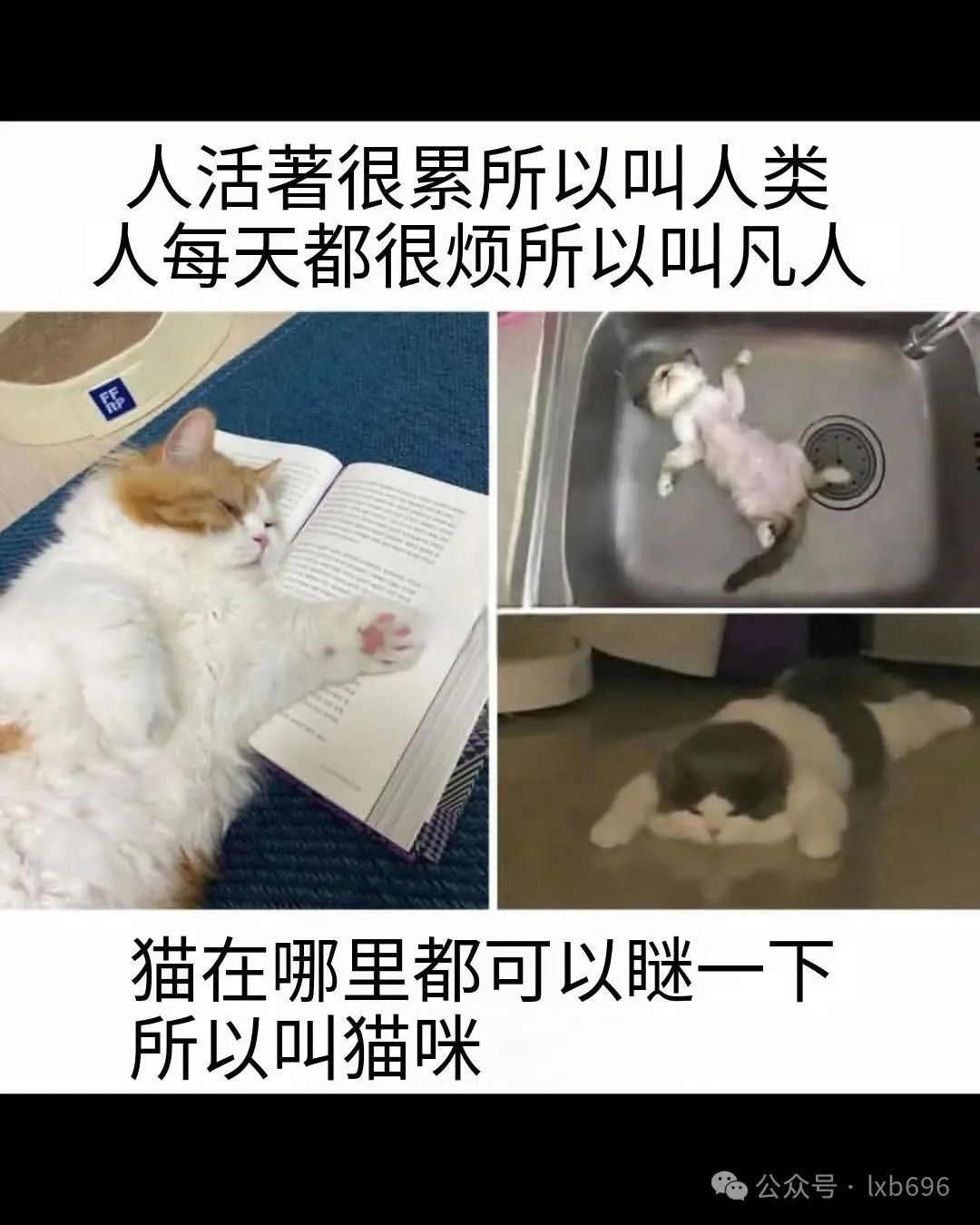 Word文档图片