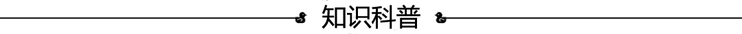 Word文档图片