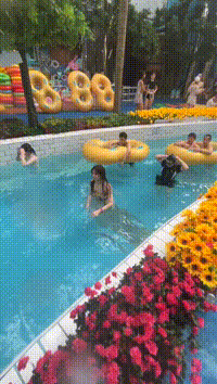 Word文档图片