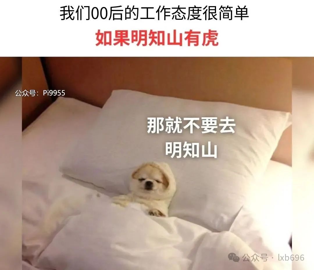 Word文档图片