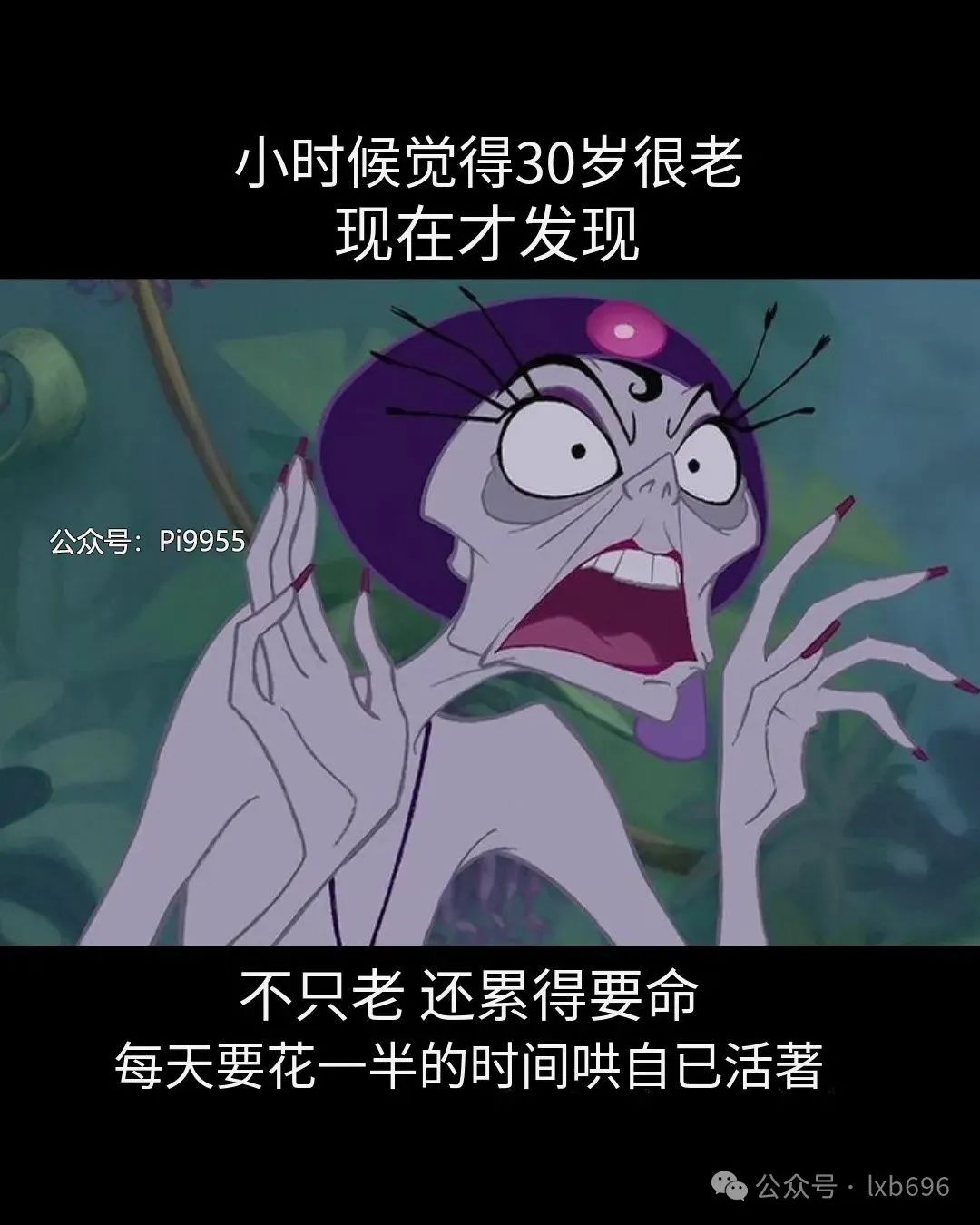 Word文档图片