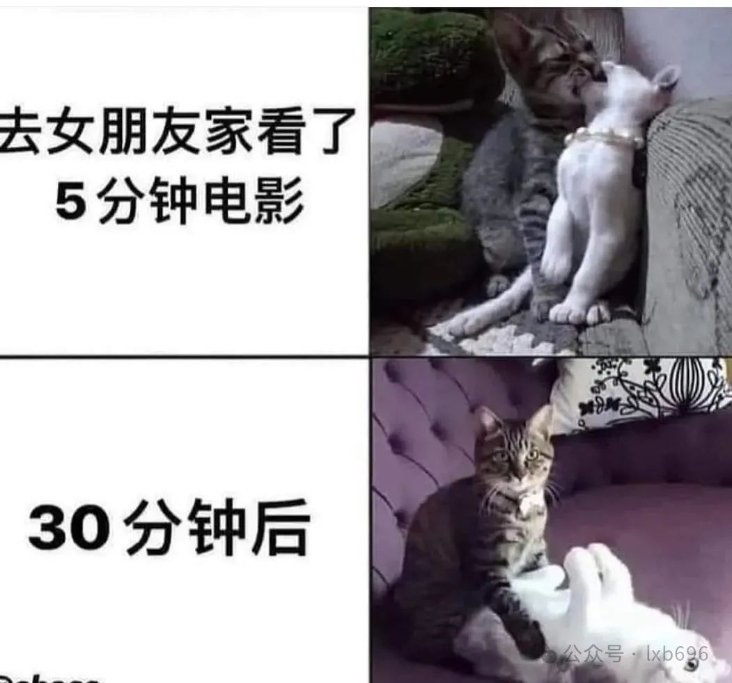 Word文档图片