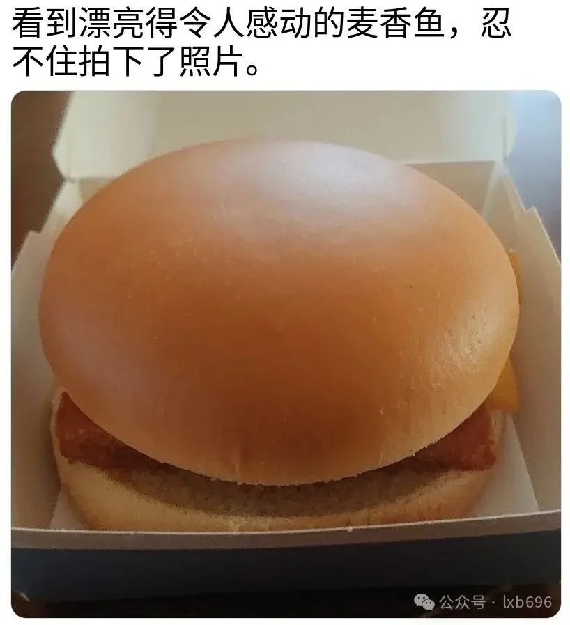 Word文档图片