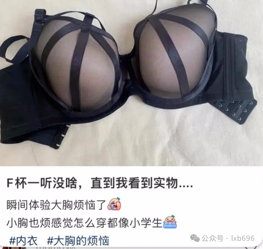 Word文档图片