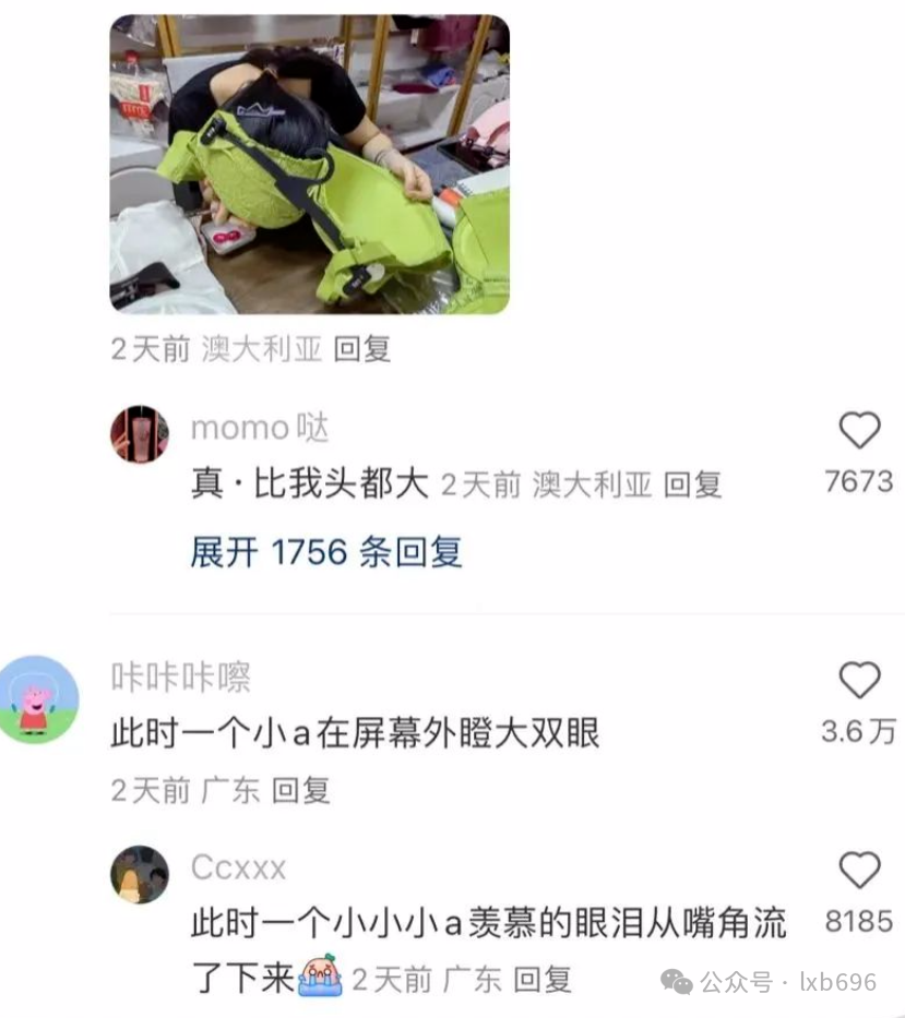 Word文档图片